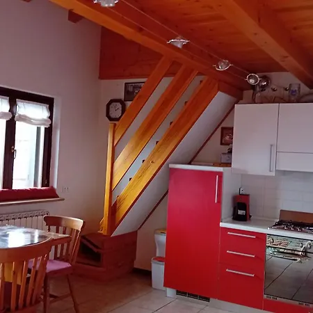 Castoro 토르그논